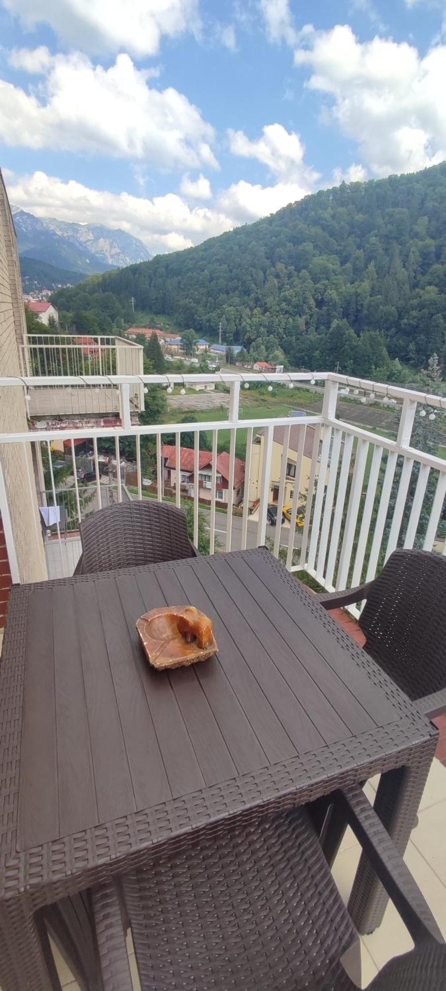 Duplex Belle View Sinaia-free Parking Apartament Sinaia