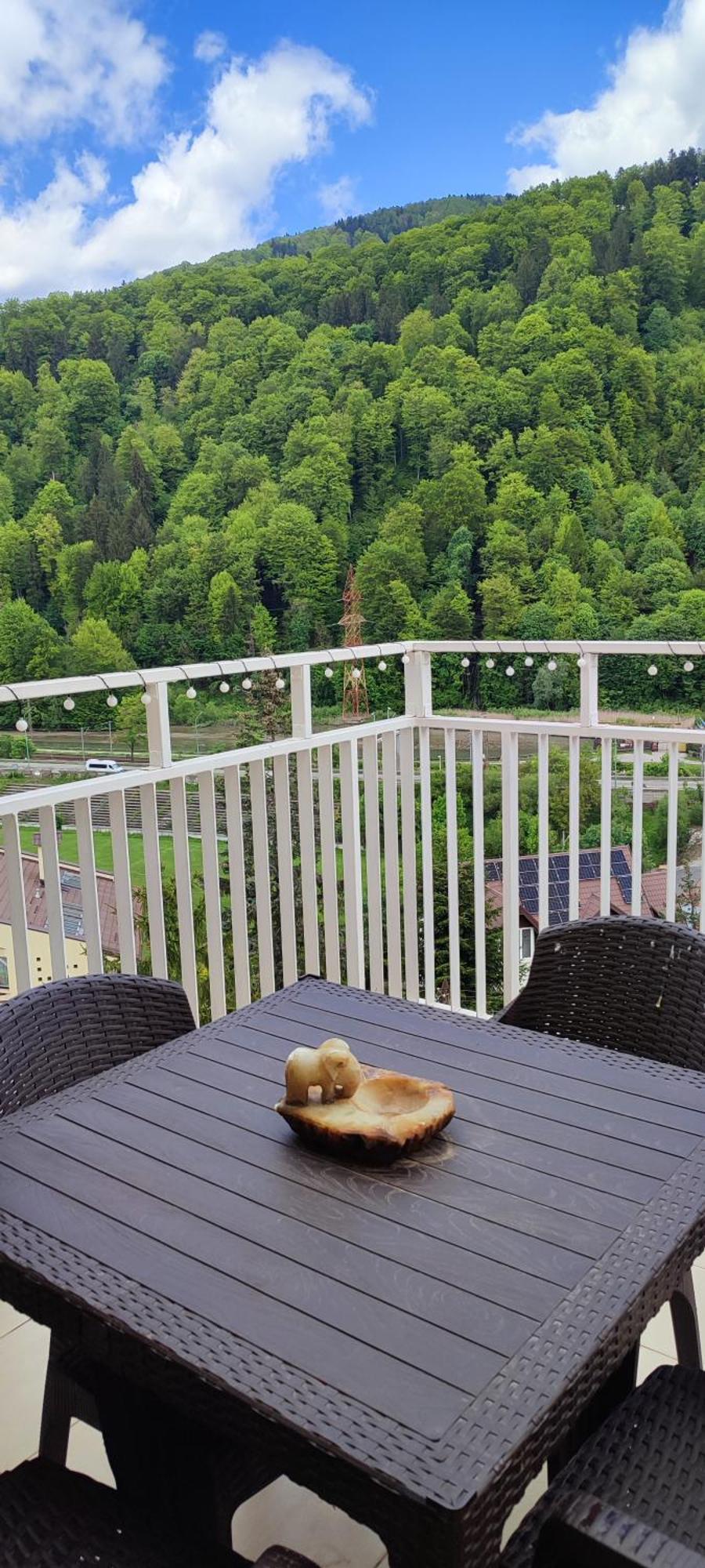 Duplex Belle View Sinaia-free Parking *
