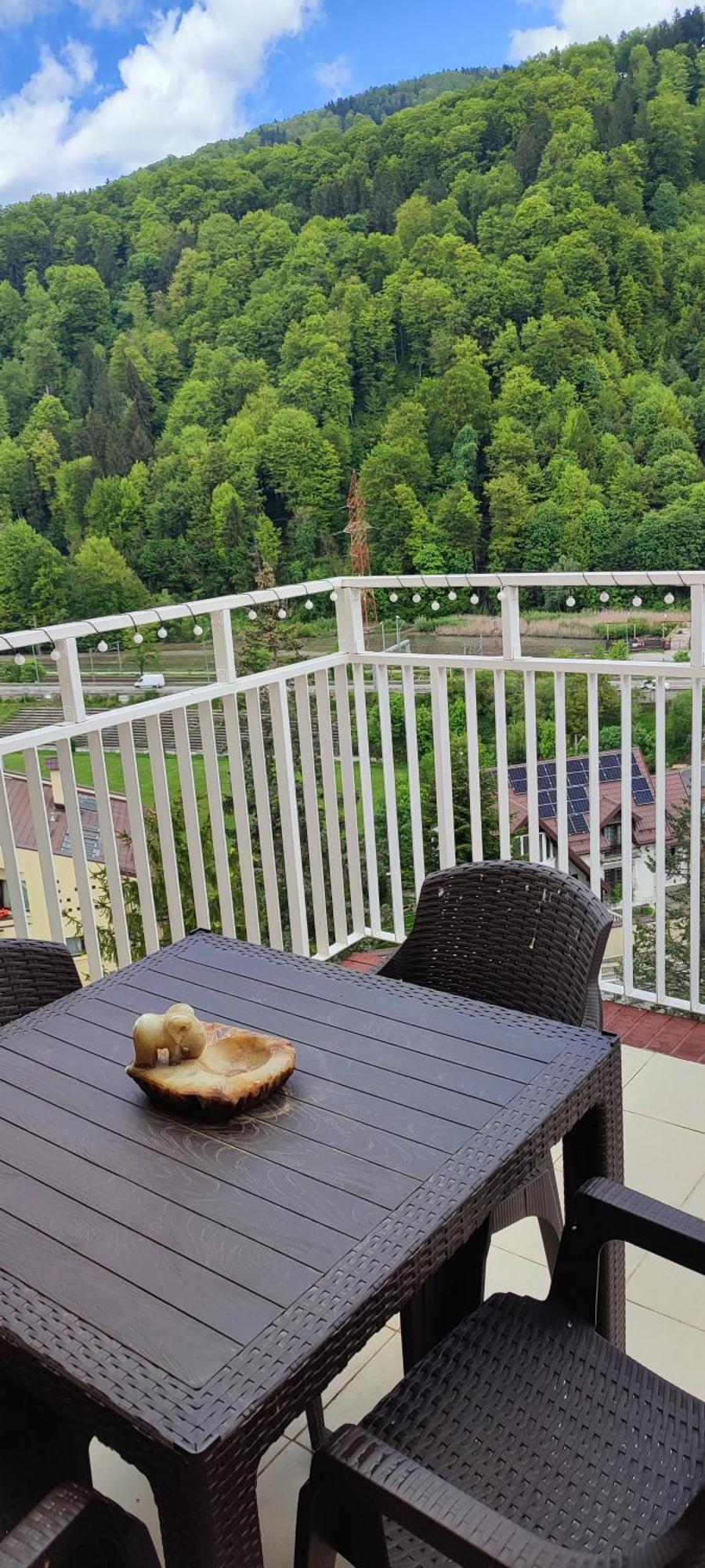 Duplex Belle View Sinaia-free Parking *