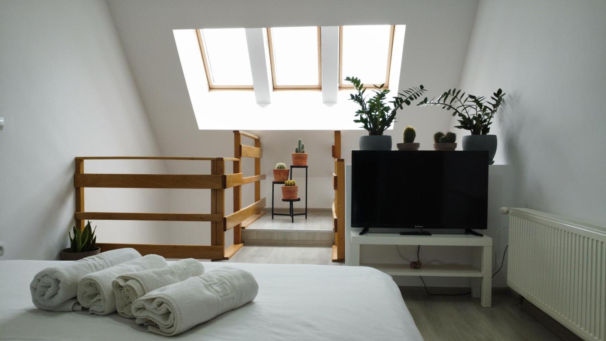 Duplex Belle View Sinaia-free Parking Apartament